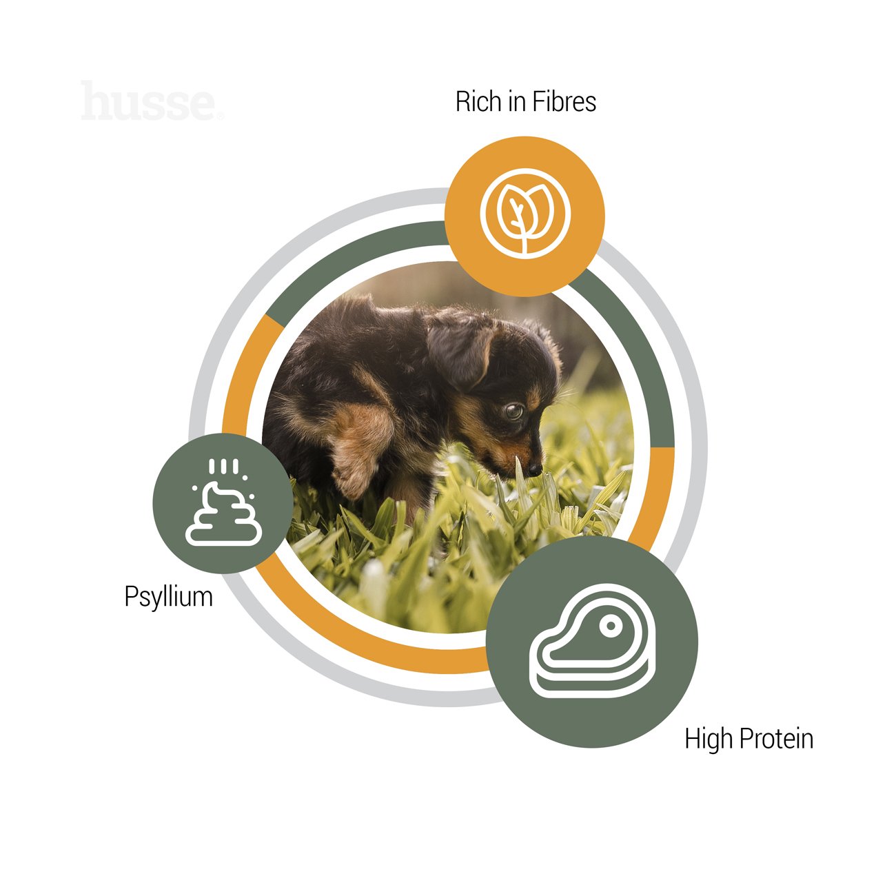 Valp Plus 2 kg Komplette Ernährung mit Flohsamen & Pflanzenfasern für eine reibungslose Verdauung