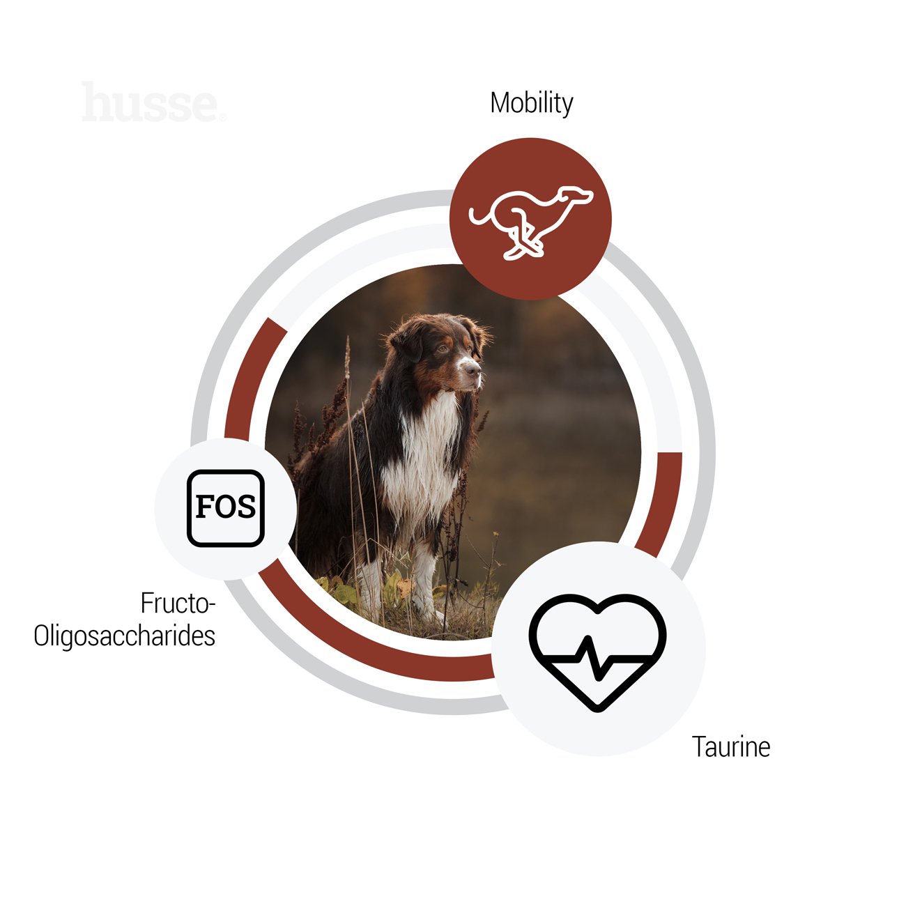 Sensitive Digest Giant 12.5 kg Glutenfreie Rezeptur mit begrenzten tierischen Proteinquellen