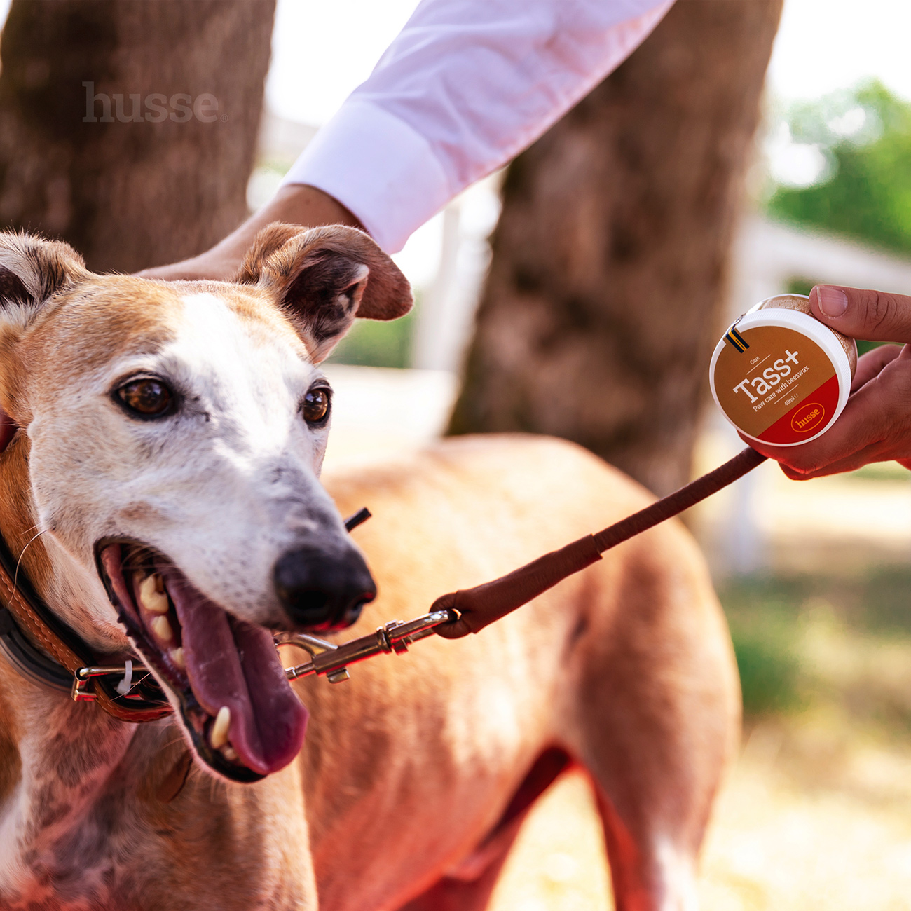 Tass Plus 40 ml. Pfotenpflegemittel mit Bienenwachs