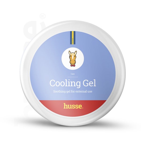 Cooling Gel 1 kg Topisches Gel mit entspannender und kühlender Wirkung