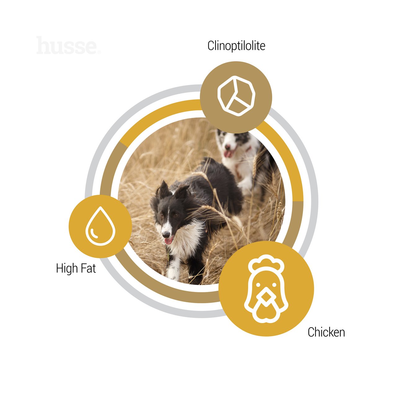 Opus Farm 12 kg Getreidefreie Kroketten mit begrenzten tierischen Proteinquellen