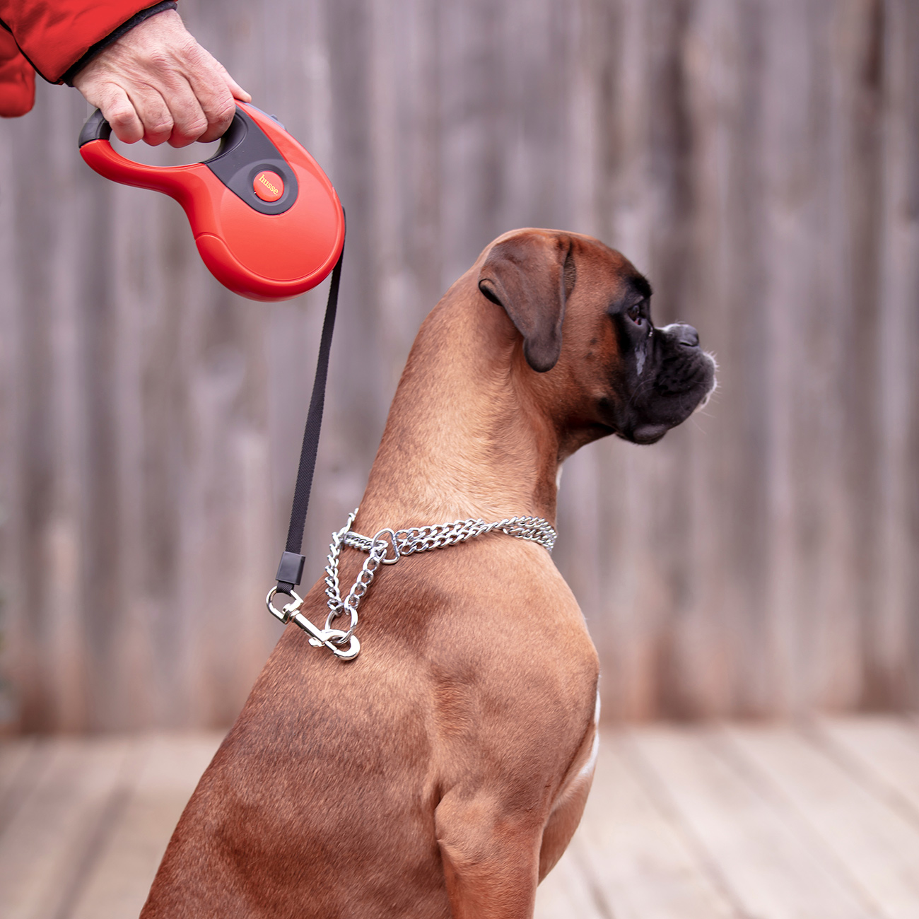 Rulle, 5 m | Leine mit Rückziehsystem & Einhandbremse