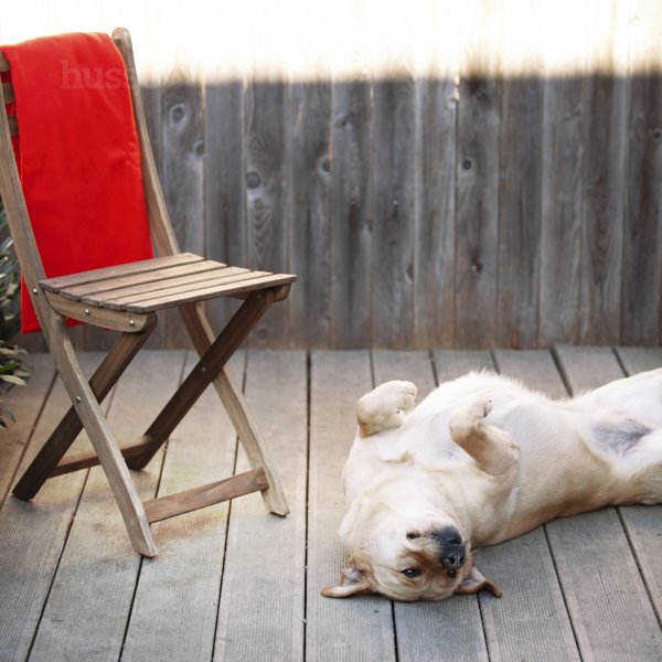 Decke, S | Weiche Kuscheldecke für maximalen Plüsch und Komfort