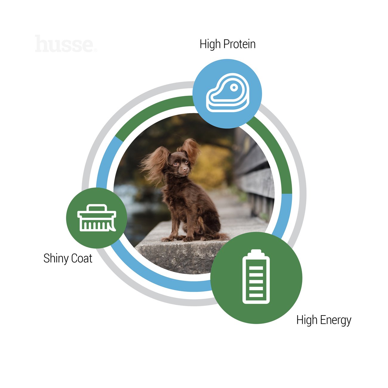 Optimal Mini 2 kg Glutenfreies Hundetrockenfutter für den hohen Energiebedarf