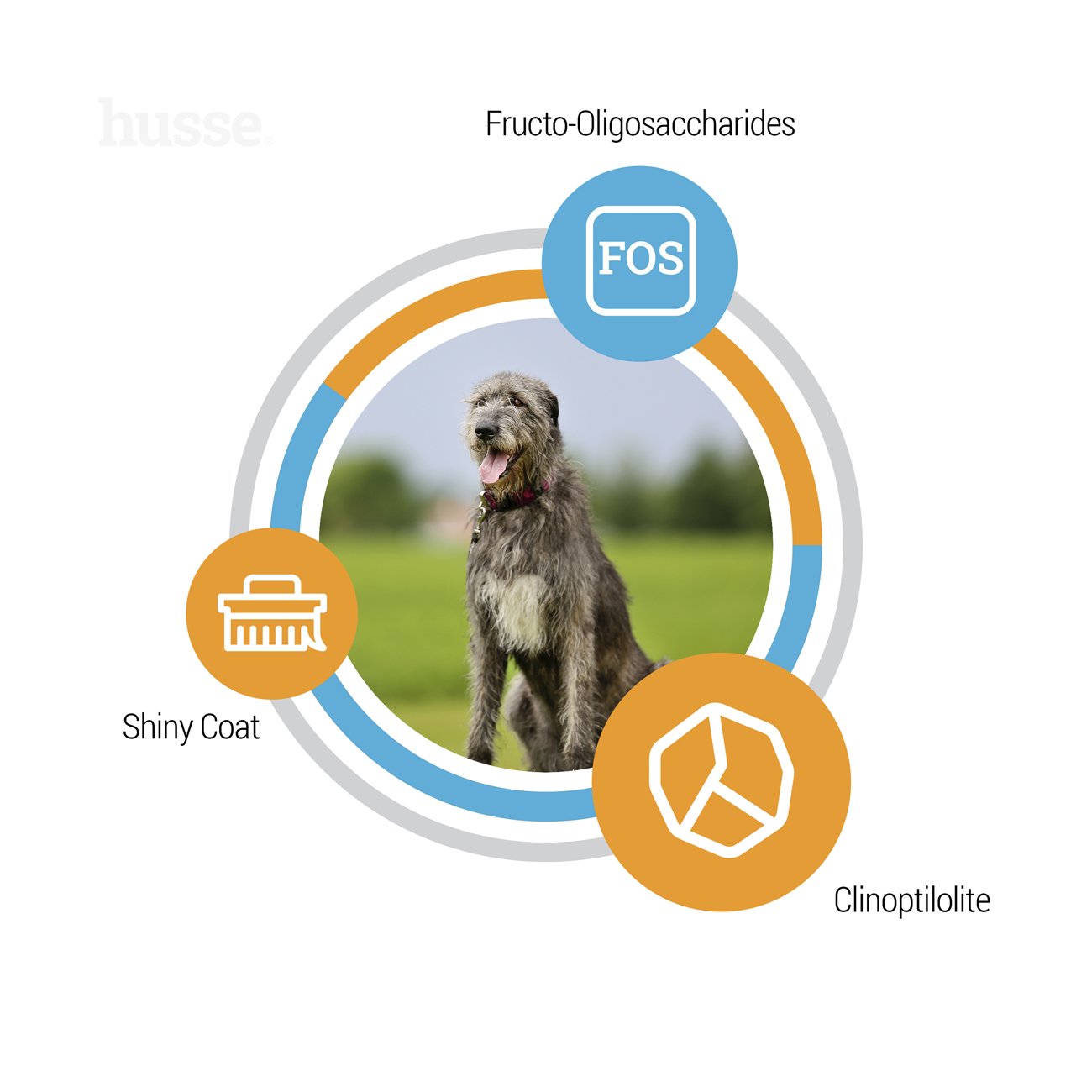 Optimal Giant 12 kg Ausgewogenes Trockenfutter für Hunde großer Rassen