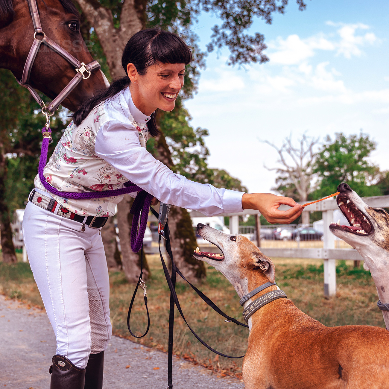 Hühnerfiletstreifen, 100 g | Hühnchenstreifen mit Chondoritin & Glucosamin