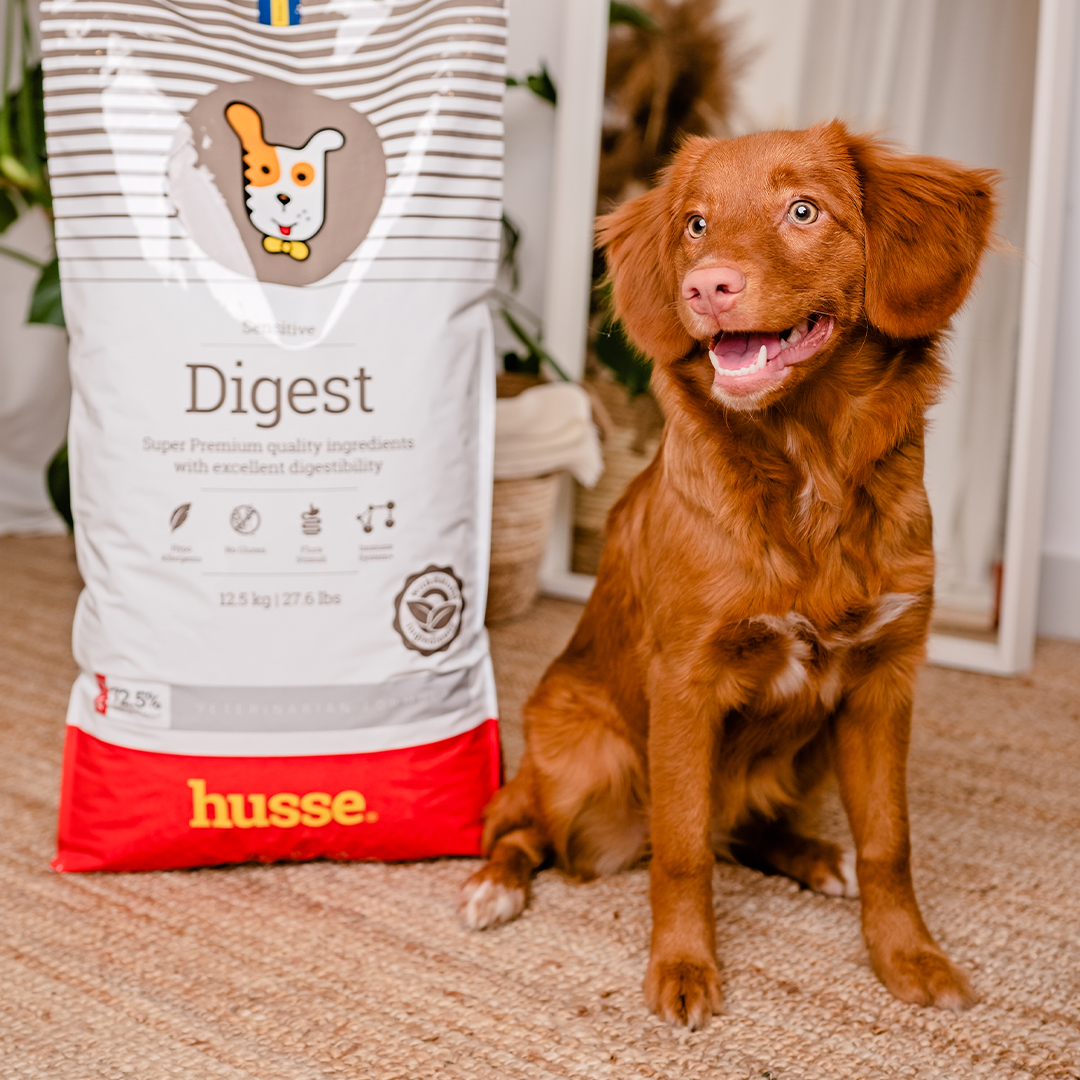 Sensitive Digest 7 kg | Glutenfreies Rezept mit begrenzten tierischen Proteinquellen