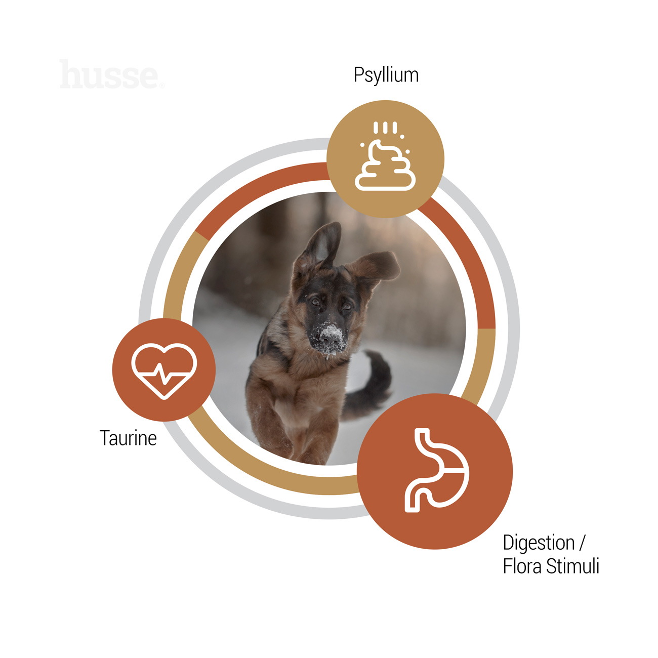 Valp Farm 12 kg Getreidefreie Kroketten mit hohem tierischem Proteingehalt aus begrenzten Quellen