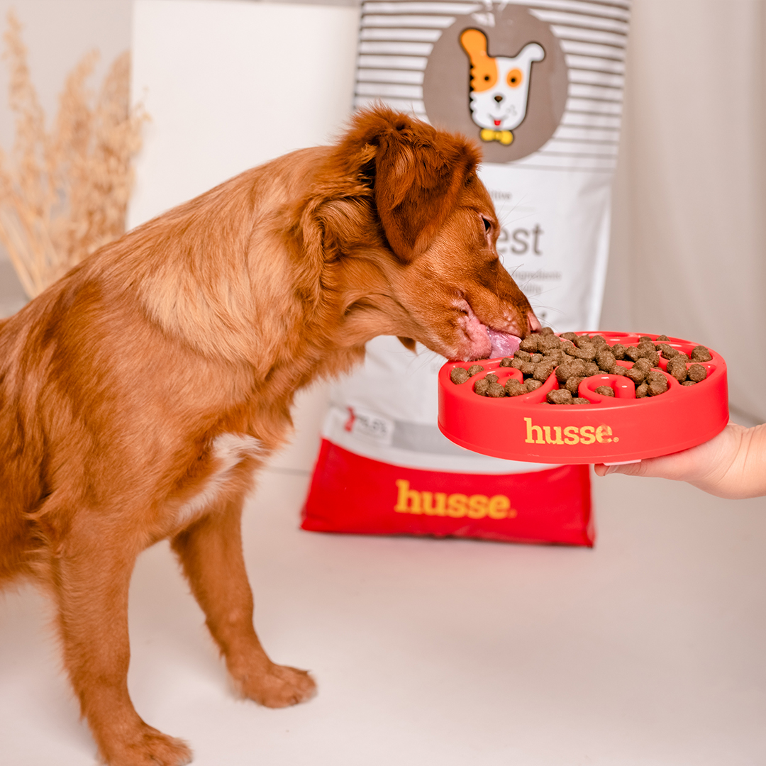 Sensitive Digest 7 kg | Glutenfreies Rezept mit begrenzten tierischen Proteinquellen