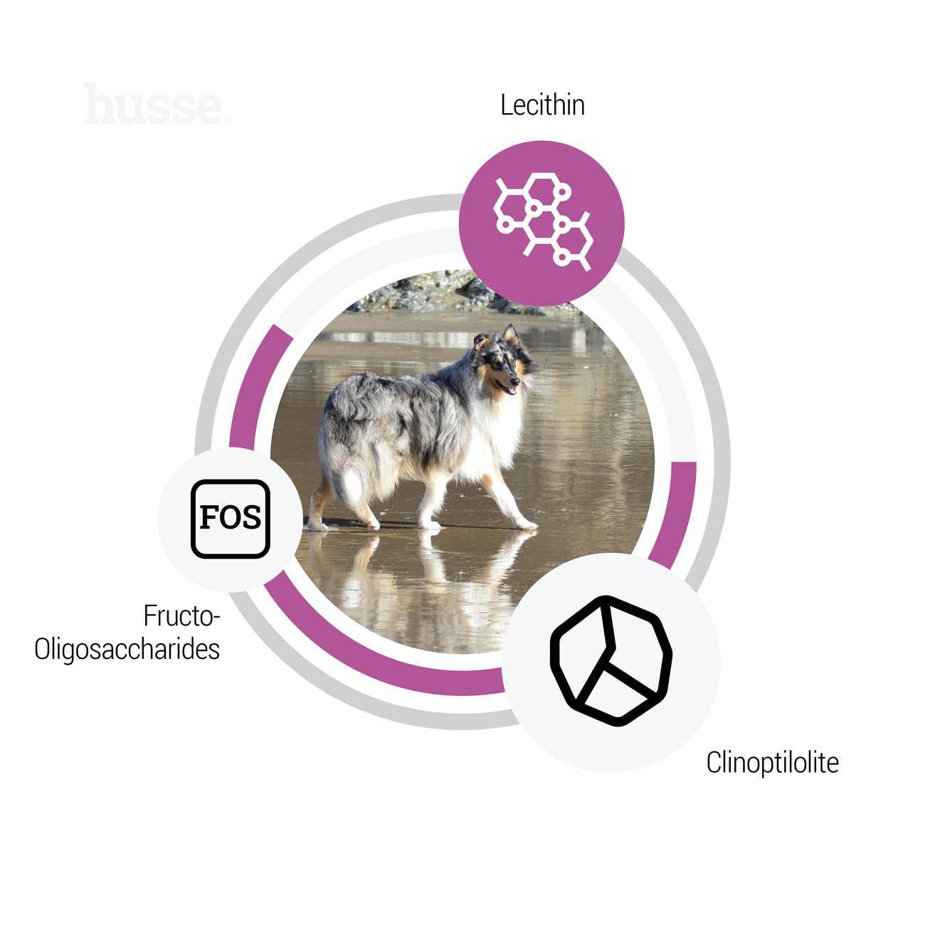 Sensitive Ocean Care, 12,5 kg | Glutenfreies Rezept mit einer einzigen tierischen Proteinquelle