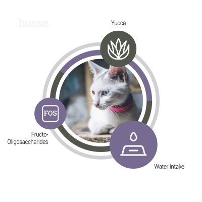 Exclusive Urinary 2 kg | Komplette Katzenernährung, die zur Erhaltung der Harngesundheit beiträgt