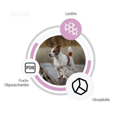 Sensitive Ocean Care Mini 2 kg | Glutenfreies Rezept mit einer einzigen tierischen Proteinquelle