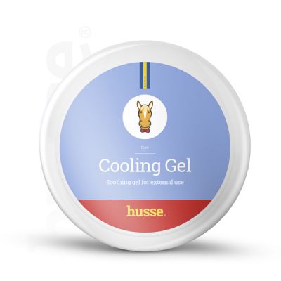 Cooling Gel 1 kg Topisches Gel mit entspannender und kühlender Wirkung