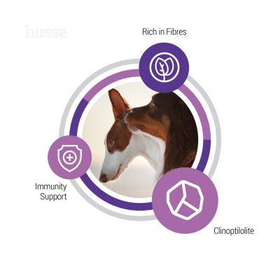 Sterilised 12 kg Ausgewogenes Trockenfutter für die besonderen Bedürfnisse sterilisierter ausgewachsener Hunde