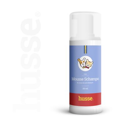 Mousse Schampo 150 ml Schaumshampoo ohne Ausspülen mit Aloe Vera