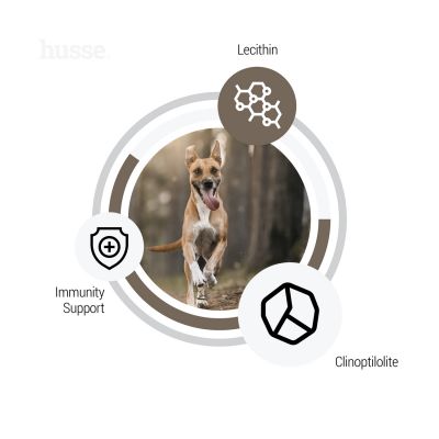 Sensitive Digest 7 kg | Glutenfreies Rezept mit begrenzten tierischen Proteinquellen