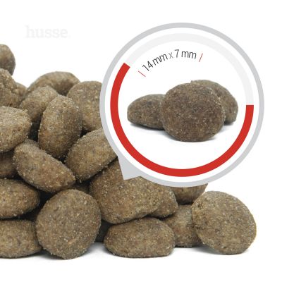 Pro Selekt 15 kg Glutenfreies Trockenfutter ohne Weizen