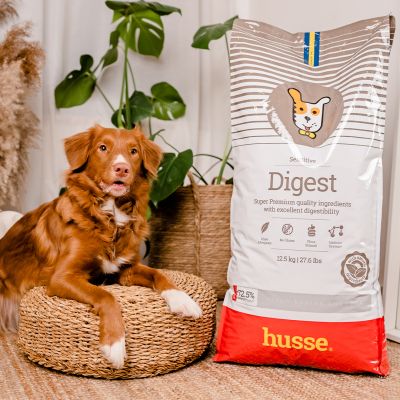 Sensitive Digest 7 kg | Glutenfreies Rezept mit begrenzten tierischen Proteinquellen