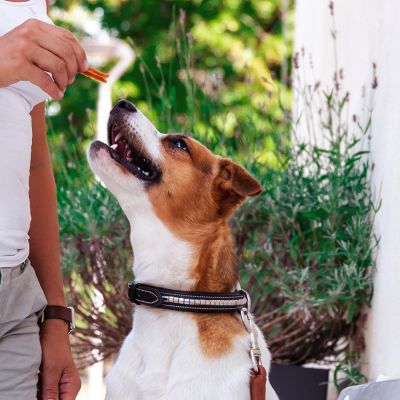 Hühnerfiletstreifen, 100 g | Hühnchenstreifen mit Chondoritin & Glucosamin