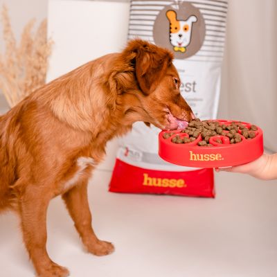 Sensitive Digest 7 kg | Glutenfreies Rezept mit begrenzten tierischen Proteinquellen