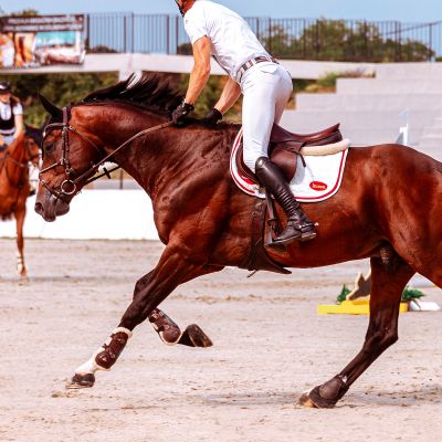 Satteldecke, 1 St. | Ergonomisch geformte Schabracke für mehr Komfort